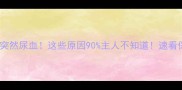 公泰迪突然尿血这些原因90主人不知道速看保命指南