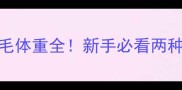 拉布拉多VS金毛体重全新手必看两种犬种饲养指南
