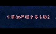 小狗治疗细小多少钱