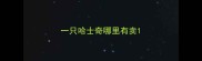 一只哈士奇哪里有卖