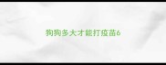 狗狗多大才能打疫苗6