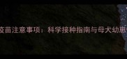 怀孕期狗狗疫苗注意事项科学接种指南与母犬幼崽健康防护全
