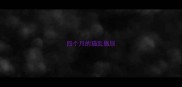四个月的猫乱撒尿