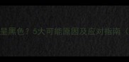 猫咪粪便呈黑色5大可能原因及应对指南附专业