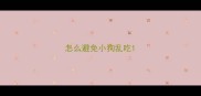 怎么避免小狗乱吃