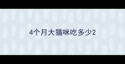 4个月大猫咪吃多少