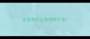 家里养什么宠物狗干净