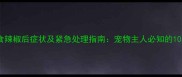 狗狗误食辣椒后症状及紧急处理指南宠物主人必知的10大要点