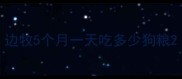 边牧5个月一天吃多少狗粮