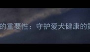 疫苗前体检的重要性守护爱犬健康的第一道防线