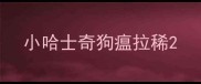 小哈士奇狗瘟拉稀