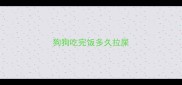 狗狗吃完饭多久拉屎