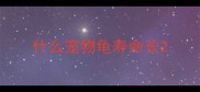 什么宠物龟寿命长