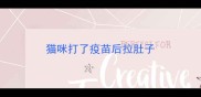 猫咪打了疫苗后拉肚子