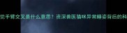 猫咪睡觉手臂交叉是什么意思资深兽医猫咪异常睡姿背后的科学真相