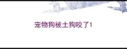 宠物狗被土狗咬了