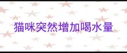 猫咪突然增加喝水量