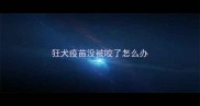 狂犬疫苗没被咬了怎么办