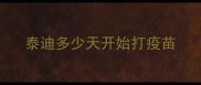 泰迪多少天开始打疫苗