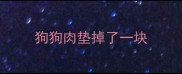 狗狗肉垫掉了一块