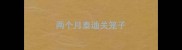 两个月泰迪关笼子