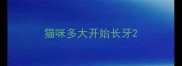 猫咪多大开始长牙
