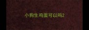 小狗生鸡蛋可以吗