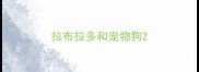 拉布拉多和宠物狗