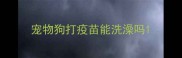 宠物狗打疫苗能洗澡吗