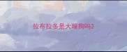 拉布拉多是大暖狗吗