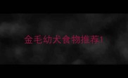 金毛幼犬食物推荐