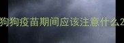 狗狗疫苗期间应该注意什么