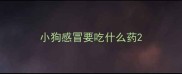小狗感冒要吃什么药