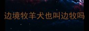 边境牧羊犬也叫边牧吗