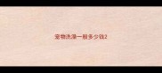 宠物洗澡一般多少钱
