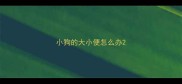 小狗的大小便怎么办