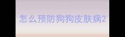 怎么预防狗狗皮肤病