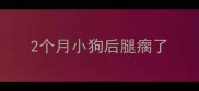 2个月小狗后腿瘸了