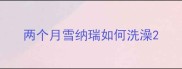 两个月雪纳瑞如何洗澡