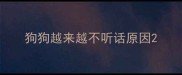 狗狗越来越不听话原因