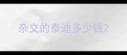杂交的泰迪多少钱