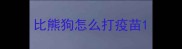 比熊狗怎么打疫苗