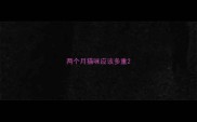 两个月猫咪应该多重