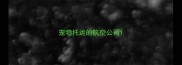 宠物托运的航空公司
