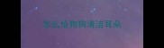 怎么给狗狗清洁耳朵