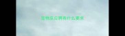 宠物店应聘有什么要求