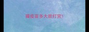 猫疫苗多大能打完