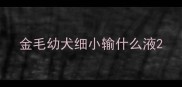 金毛幼犬细小输什么液