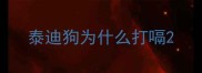 泰迪狗为什么打嗝