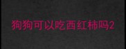 狗狗可以吃西红柿吗